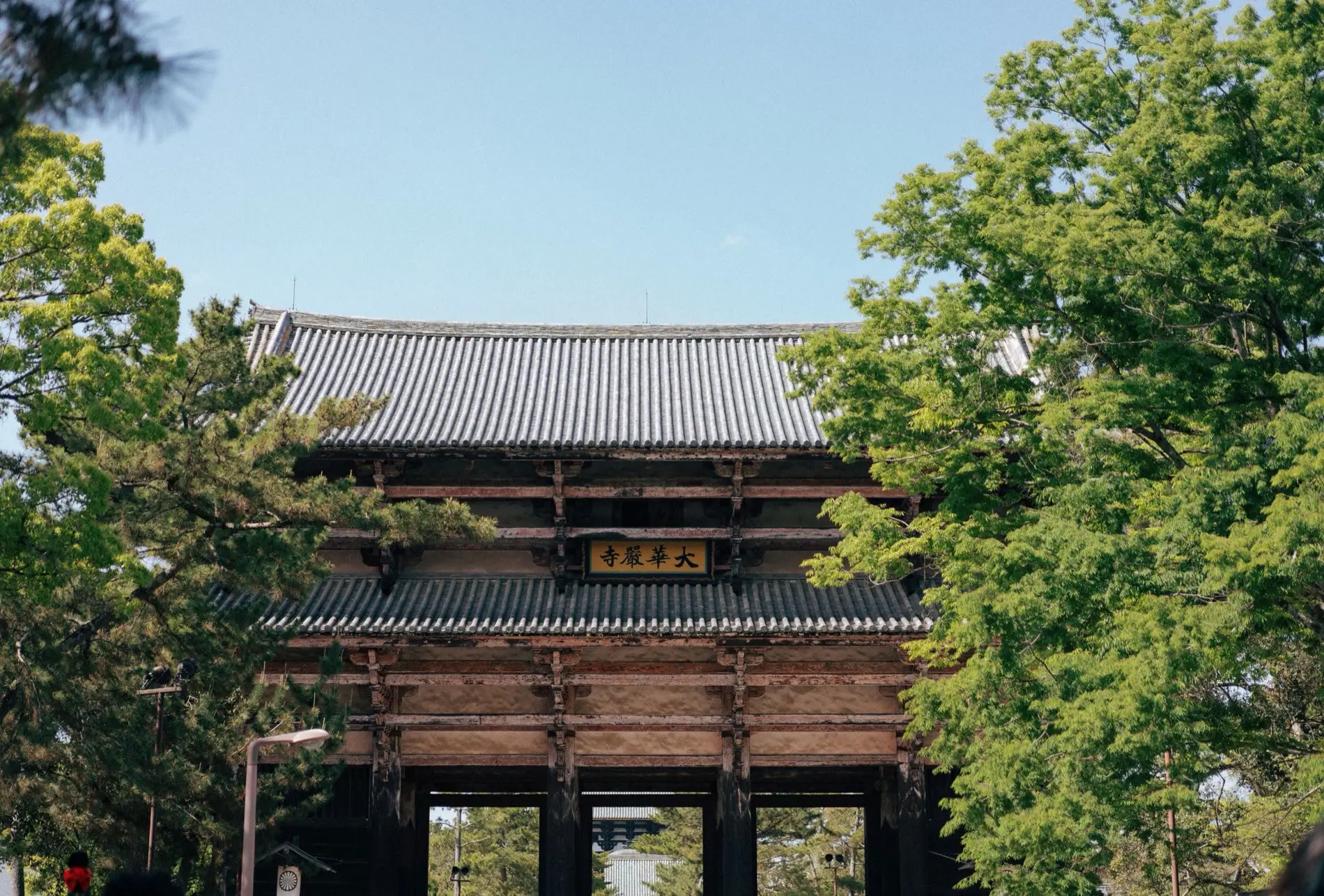 A temple and deer in Nara Park