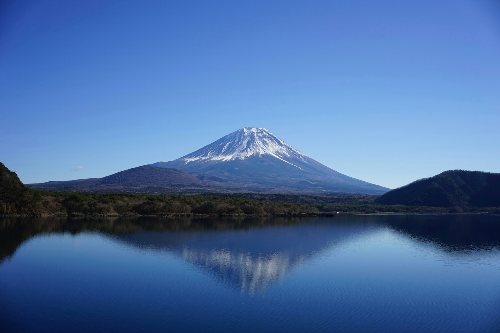 A Cremia soft-serve at Oishi Park, Fuji across the lake