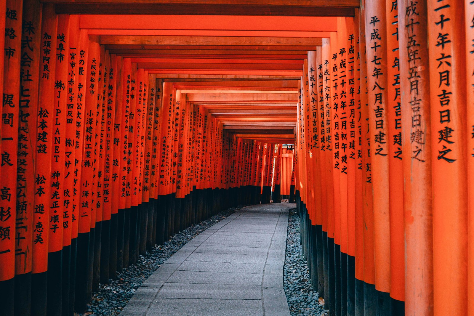 The thousand vermilion torii of Fushimi Inari